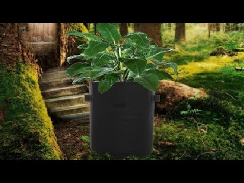 Pflanzsack, Kartoffel Pflanzsack 3 Stück 10 Gallonen Kartoffelsack Zum Pflanzen, Einfach toll