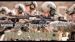 Marine Special Operations Command | MARSOC Always Faithful, Always Forward