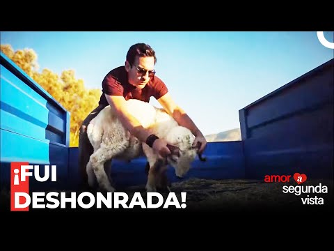 La Aventura De Fatih De Atrapar Un Carnero - Amor A Segunda Vista Capítulo 52