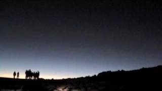 The Future Sound of London - Go Tell it to the Trees Egghead