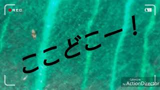 たれかが乱入！
