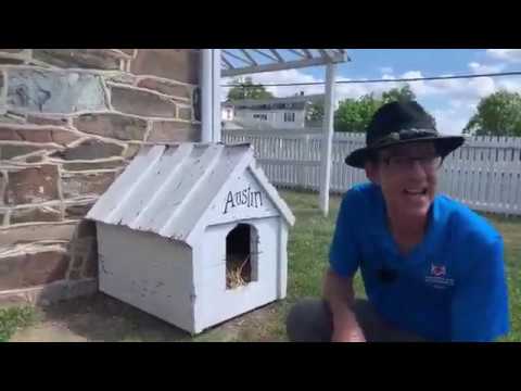 Lee's Headquarters and Seminary Ridge: 157th Anniversary of Gettysburg Live! (Day 1)