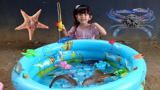 Download lagu Fishing In Blue Pond Catfish, Turtle, Crab, Starfish, Tilapia, Koi, Nemo, Dory, Cork, Starfish, Crab mp3