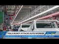 Robot attacked Tesla engineer at Texas factory: Report