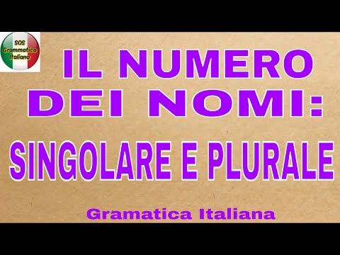 IL NUMERO DEI NOMI SINGOLARE E PLURALE - Nomi variabili e invariabili, difettivi e sovrabbondonti