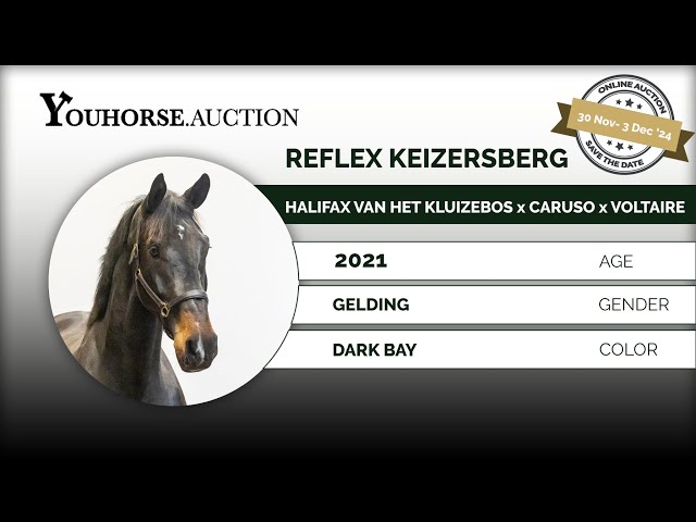 Reflex Keizersberg