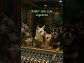 👀 Behind the music… the claws are OUT!🐕✨#beanqueen #comedy #singingdog #chihuahua #countdown #dog