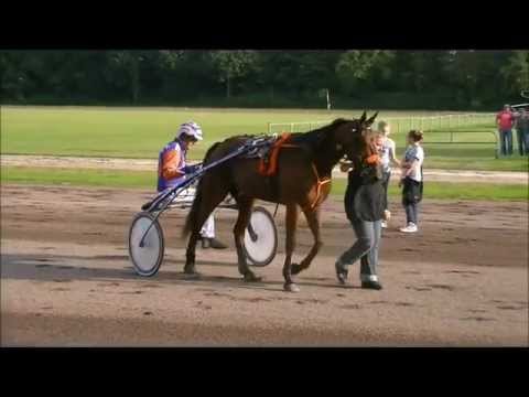 2011 Rijderskampioen 2011 prijs - Zwinger Bobber (Rob de Vlieger) {handcam}