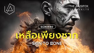 แปลเพลง Skin to Bone - Linkin Park【THAISUB】