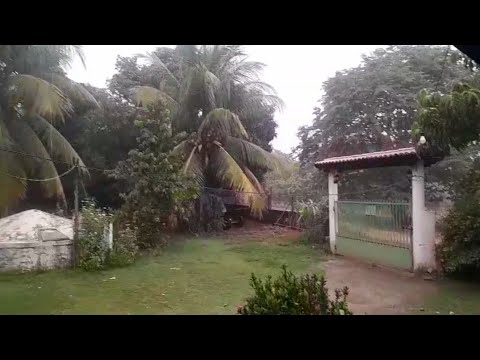 🇧🇷 CHUVA NO MUNICÍPIO DE MILAGRES, CEARÁ 21/01/2026