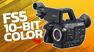 This setting gives your FS5 more color flexibility!