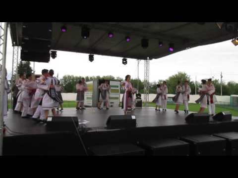 Zilele orasului Insuratei mai 2017 2