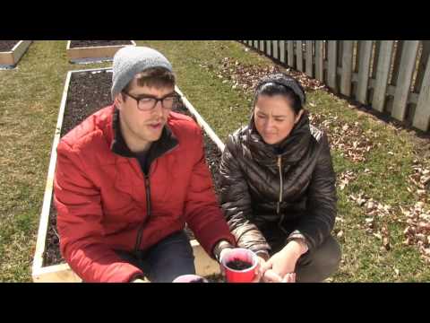 Back To Basics Ep. 4 - Good Soil for a Garden