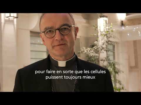Audit national des cellules d’accueil et d’écoute des diocèses français : publication du rapport