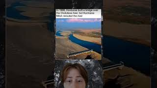 When Nature Plays Tricks On Human Engineering Bridge To Nowhere