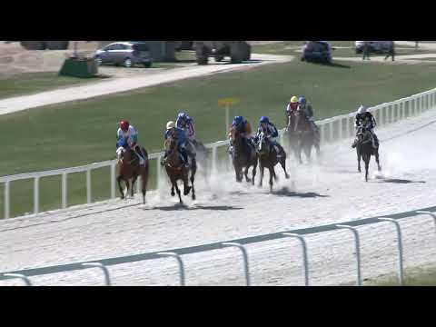 2019.04.21. 02. futam - GRÓF CSEKONICS GYULA EMLÉKVERSENY (V.kat.) (szintetikus pálya)