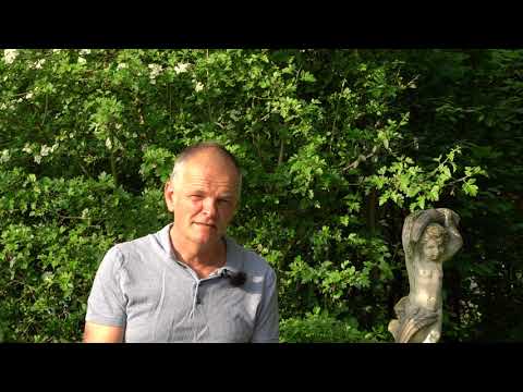 Deine Sehnsucht nach Lebenslust und Lebenskraft (Joh 7,37-39)