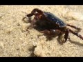 Lazy Summer Days.wmv 