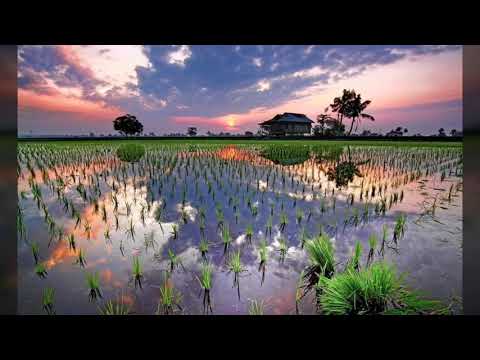 DESA TERCINTA BY NORA