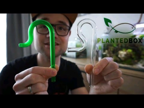 Eerste indruk Nano Lily pipe set van PlantedBox & Wio Ancient Roots voor mijn nano aquarium.