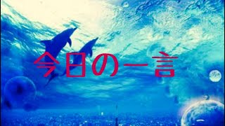 今日の一言 14