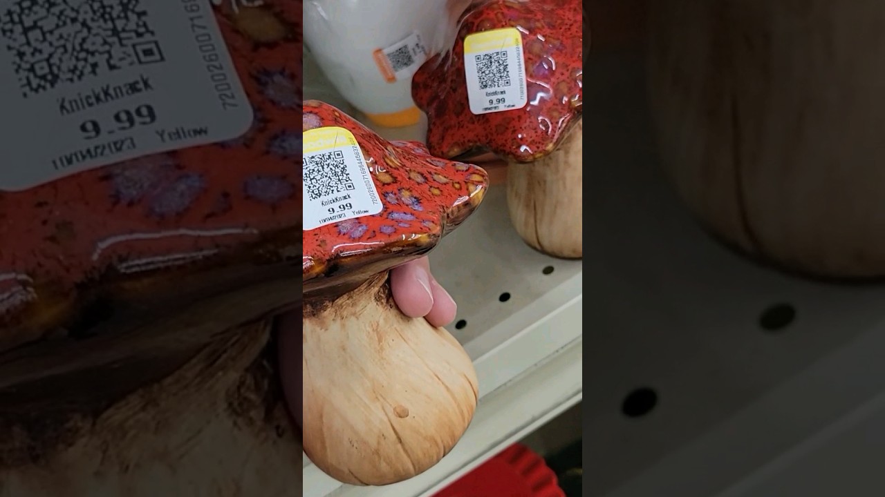 GW has gone crazy, 2 ceramic mushrooms from Big Lots, $20, insane🤬