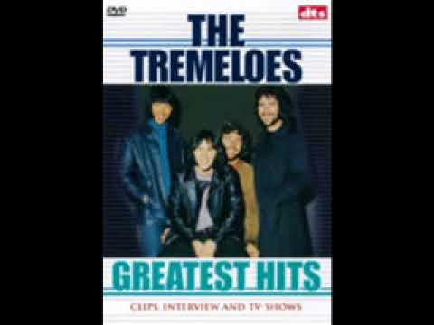 The Tremeloes   Yellow River 1970