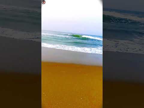 Nature Status Video 🌊♥️