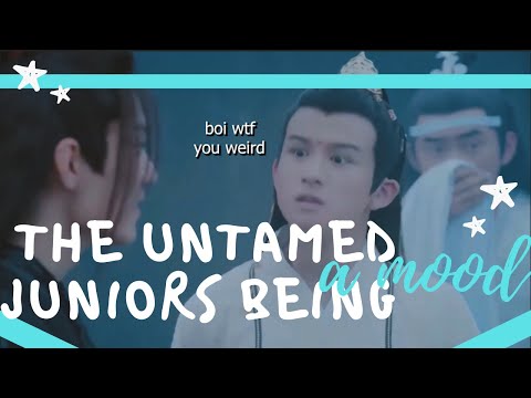 the untamed juniors being a mood | 陈情令