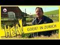 HEA! Goeie! in Zurich