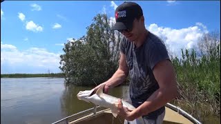 Ловля жереха ранней весной на ахтубе