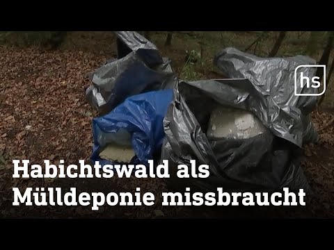Müll landet illegal im Wald | hessenschau