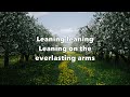 Leaning on the Everlasting Arms - Alan Jackson