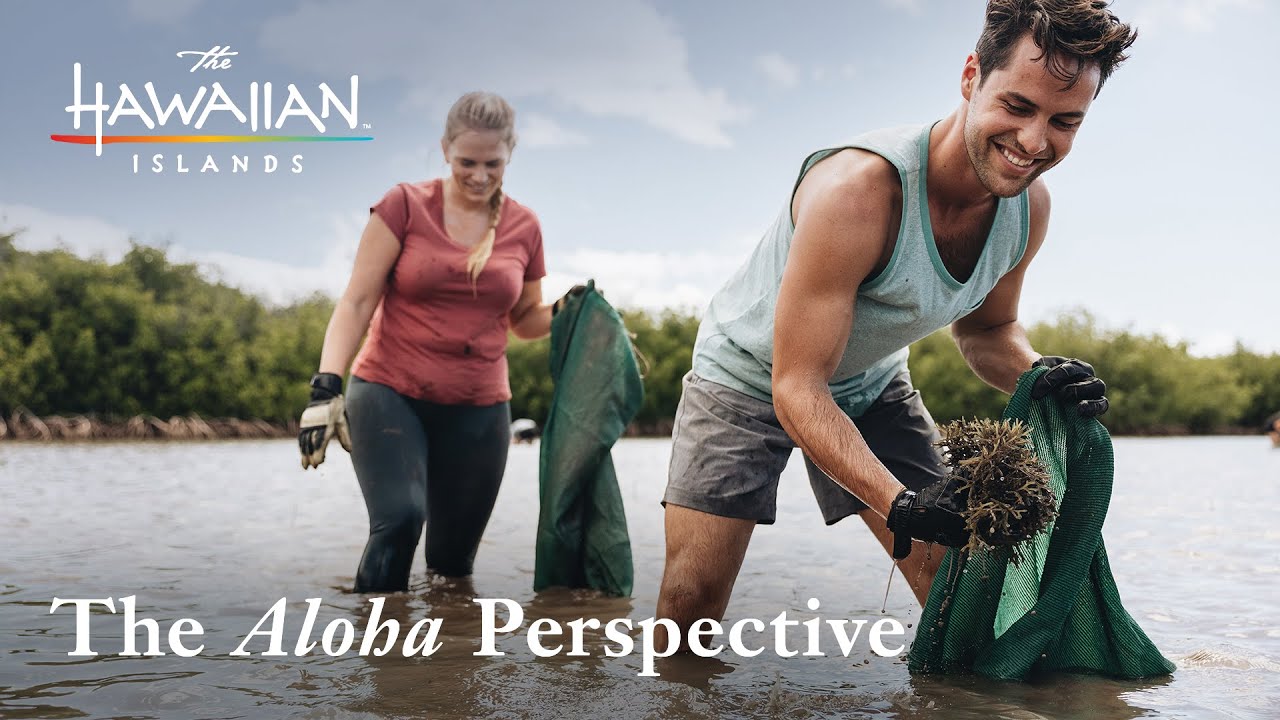 The Aloha Perspective