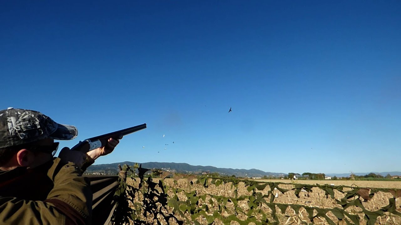 Watch video Colombi, cornacchie, piccioni, tordi, storni con B&P e Yildiz SPZ-M .410 Ia Parte Now Colombi, cornacchie, piccioni, tordi, storni con B&P e Yildiz SPZ-M .410 Ia Parte