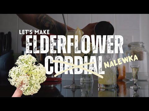 Elderflower Liqueur at Home | Authentic Polish Nalewka Recipe (Bartender at home POV)