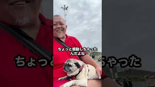 miwaの弾き語りに感動した。CDの豪華なアレンジより断然いい。メジャーなアレンジって必要？#弾き語り @miwaofficial38