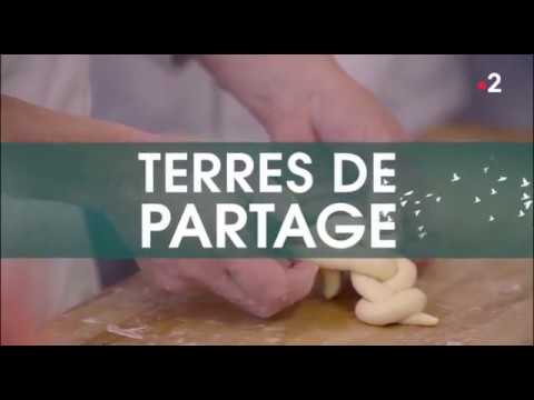 [TERRES DE PARTAGE] Goût du pain, goût d’apprendre | Les Céréales
