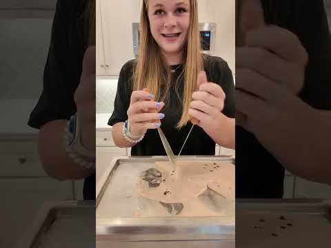 Assistant Makes Fresh Fruit Strawberry Rolled Ice Cream #FamilyFun #RolledIceCream #HomemadeIceCream