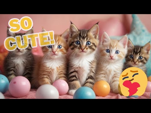 CATS will make you LAUGH YOUR HEAD OFF 4🐈 🐶