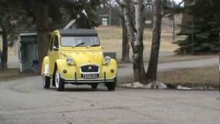 preview picture of video '2CV jaune - Mimosa dans le Cariboo - avril 2011'