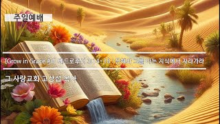 [주일예배] Grow in Grace #1 베드로후서 3:14~18 : 은혜와 그를 아는 지식에서 자라가라