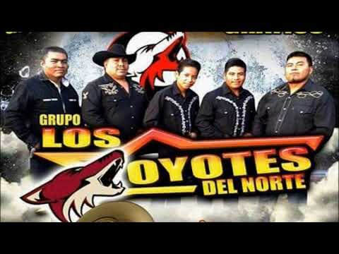 COPITAS DE MEZCAL - LOS COYOTES DEL NORTE