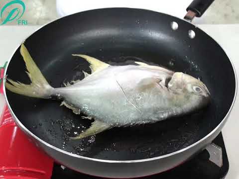 蔡博士的料理食堂影片  五行彩椒金鯧魚