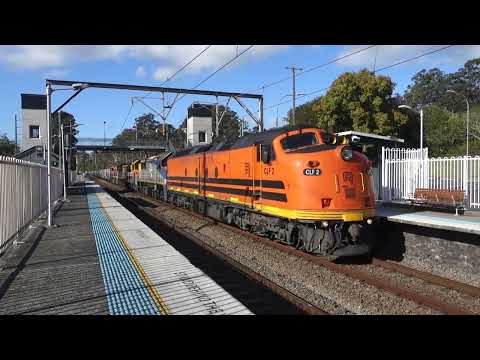 CLF2 / VL354 / 4911 / 4908 / BRM001 with SSR loaded grain 5242 - 2/9/23