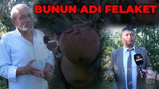 Bunun adı felaket | Bahçede Hasat Edecek Ürün Kalmadı