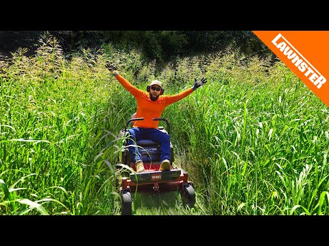 We MOWED the WORST LAWN We've Ever Seen in 20 YEARS for FREE!