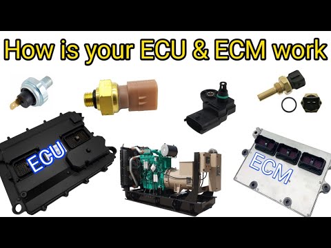 Engine ECU vs ECM: What's the Difference and How Do They Work with Sensors and injectors ?