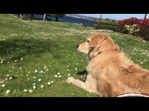 Miradoiro Nirvana.Oleiros, A Coruña