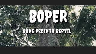 preview picture of video 'Boper berpetulang mencari salva'